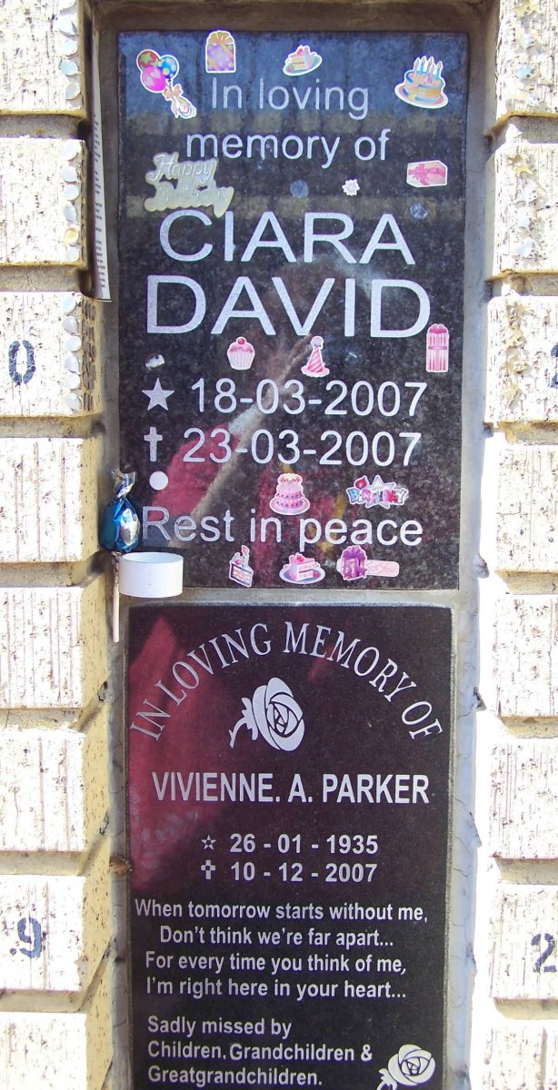 DAVID Cara 2007-2007 :: PARKER Vivienne A. 1935-2007