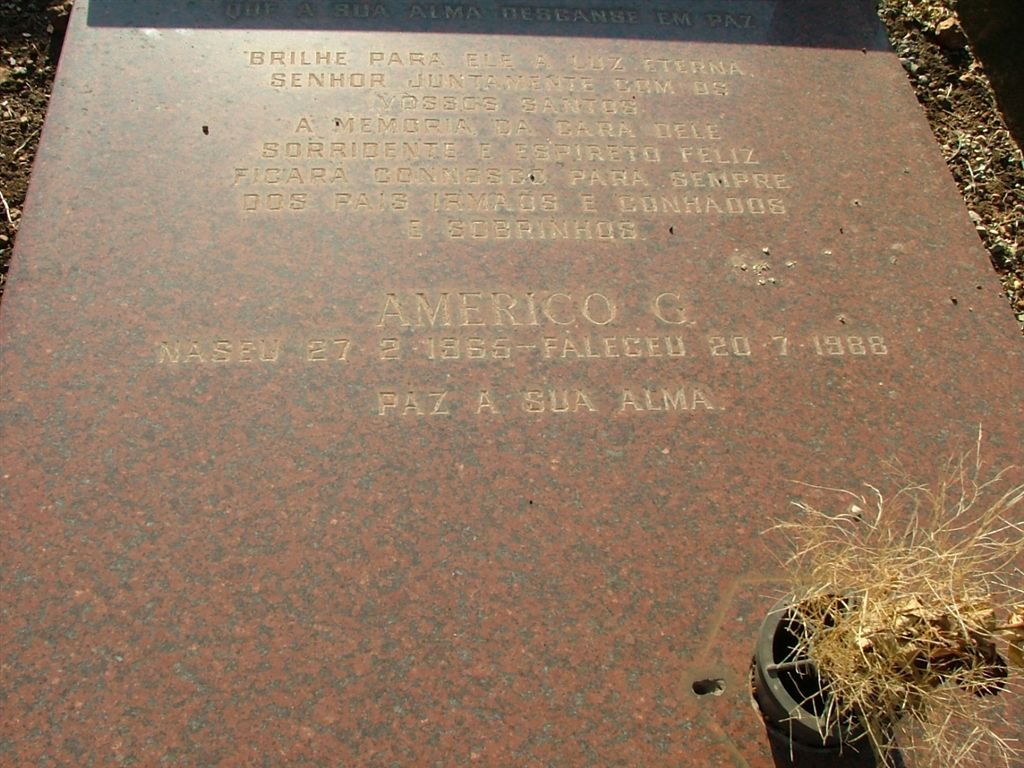 AMERICO G. 1965-1988