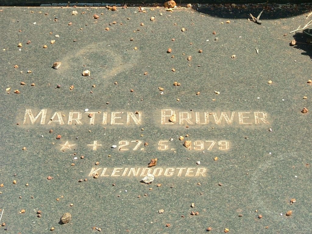 BRUWER Martien 1979-1979