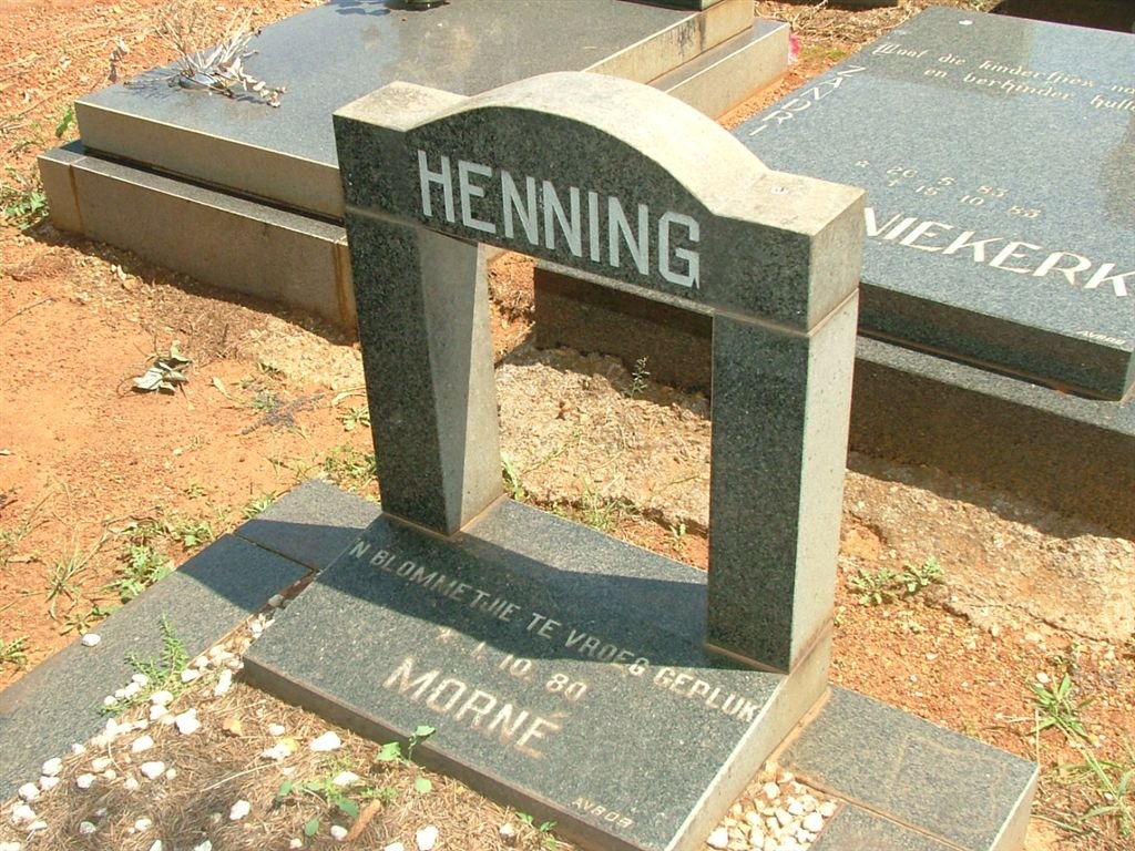 HENNING Morné 1980-1980