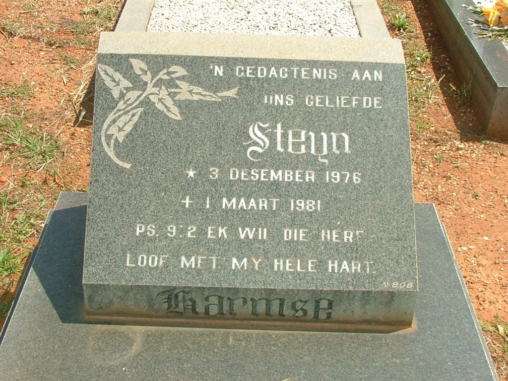 HARMSE Steyn 1976-1981