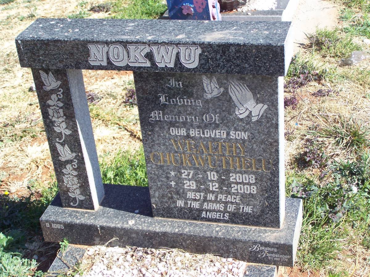 NOKWU Wealthy Chukwuthell 2008-2008