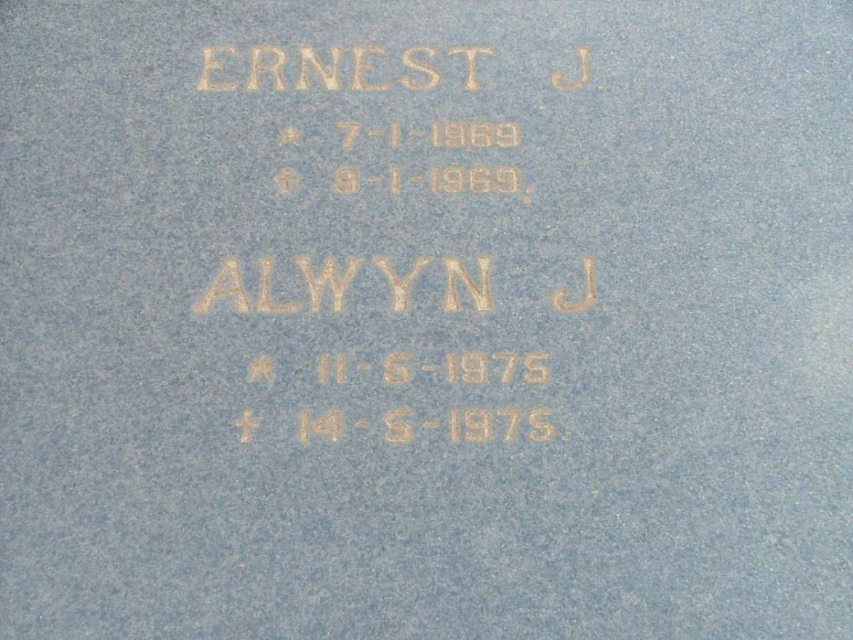 NEINABER Ernest J 1969-1969 :: NIENABER  Alwyn J.1975-1975