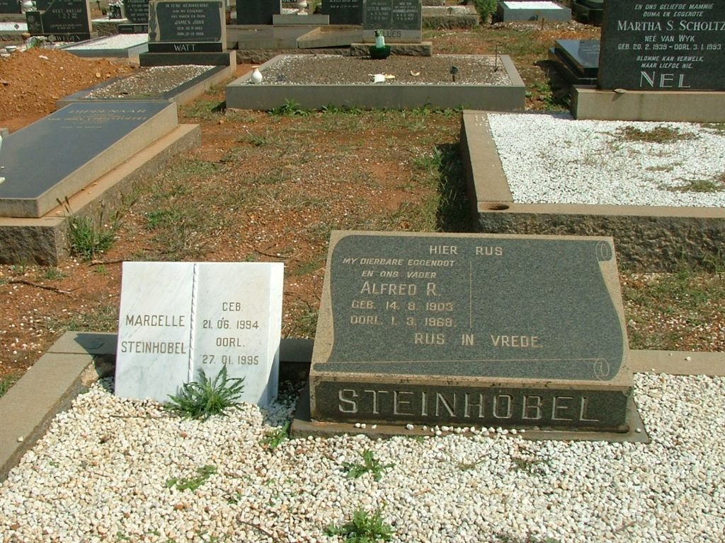 STEINHOBEL Alfred R. 1903-1968 :: STEINHOBEL Marcelle 1994-1995