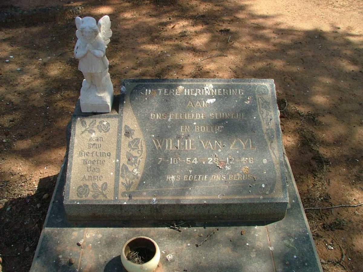 ZYL Willie, van 1954-1958