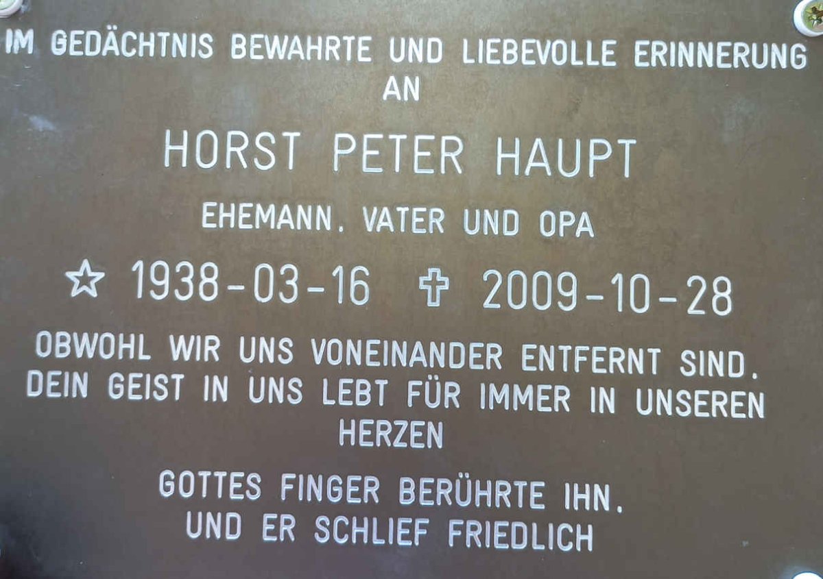 HAUPT Horst Peter 1938-2009