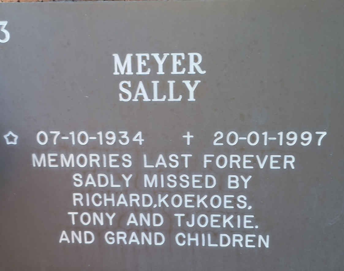 MEYER Sally 1934-1997