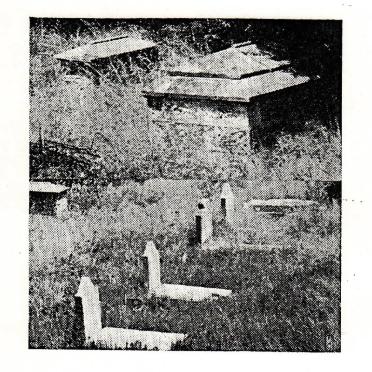01. Overview / Oorsig