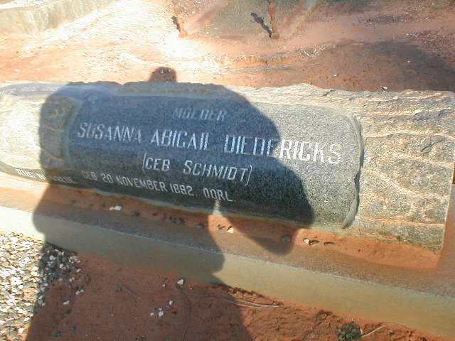 DIEDERICKS Susanna Abigail nee SCHMIDT 1882-