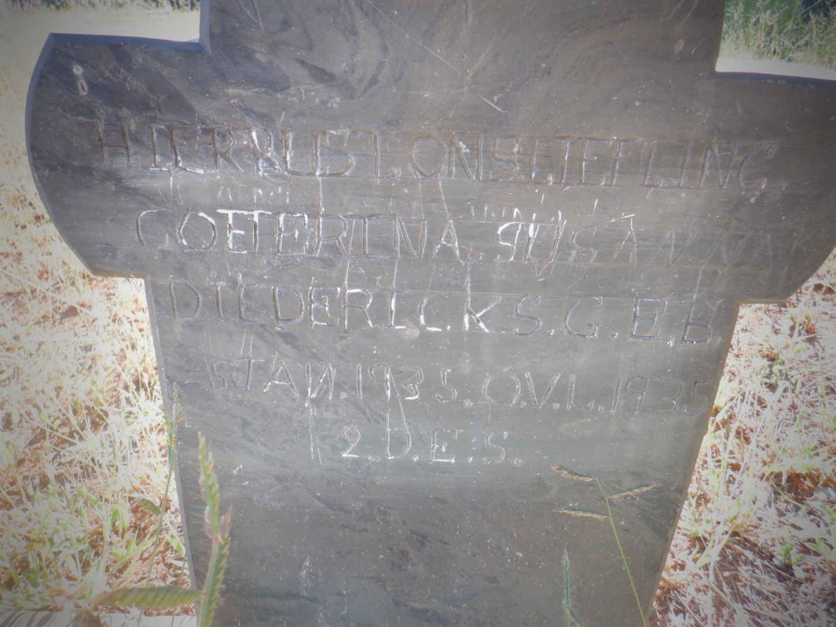 DIEDERICKS Coeterina Susanna 1935-1935