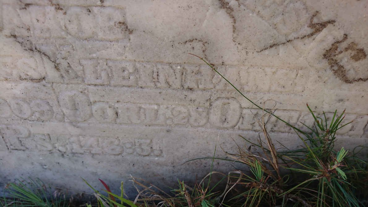 KLEINHANS Johannes 1909-1931