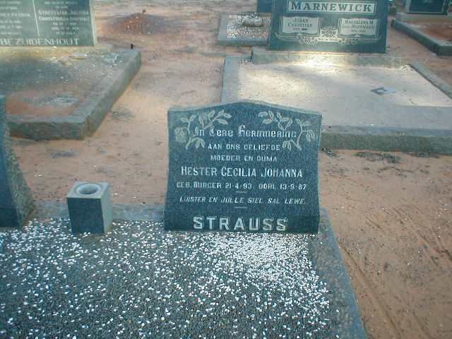 STRAUSS Hester Cecilia Johanna 1893-1967
