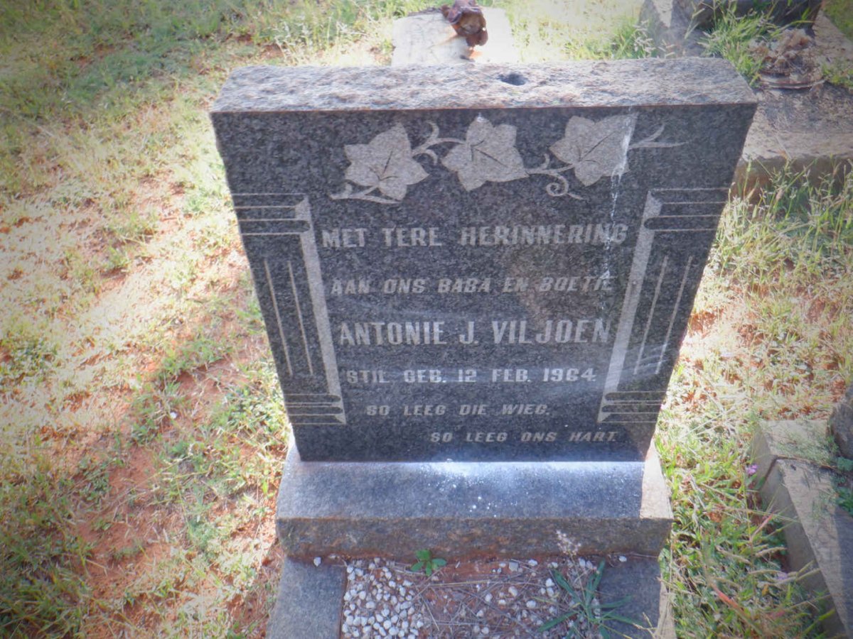 VILJOEN Antonie J. 1964-1964