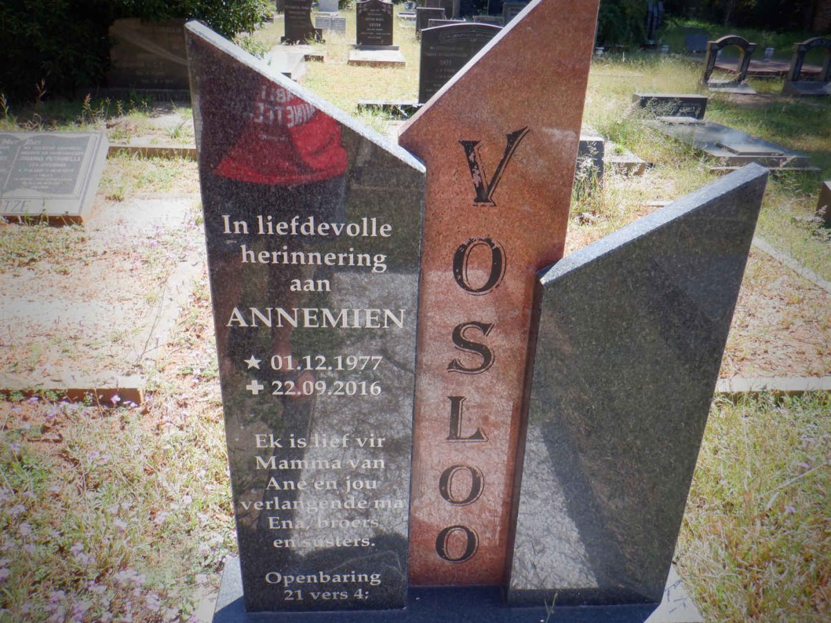 VOSLOO Annemien 1977-2016