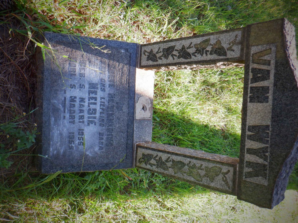 WYK Neelsie, van 1955-1955
