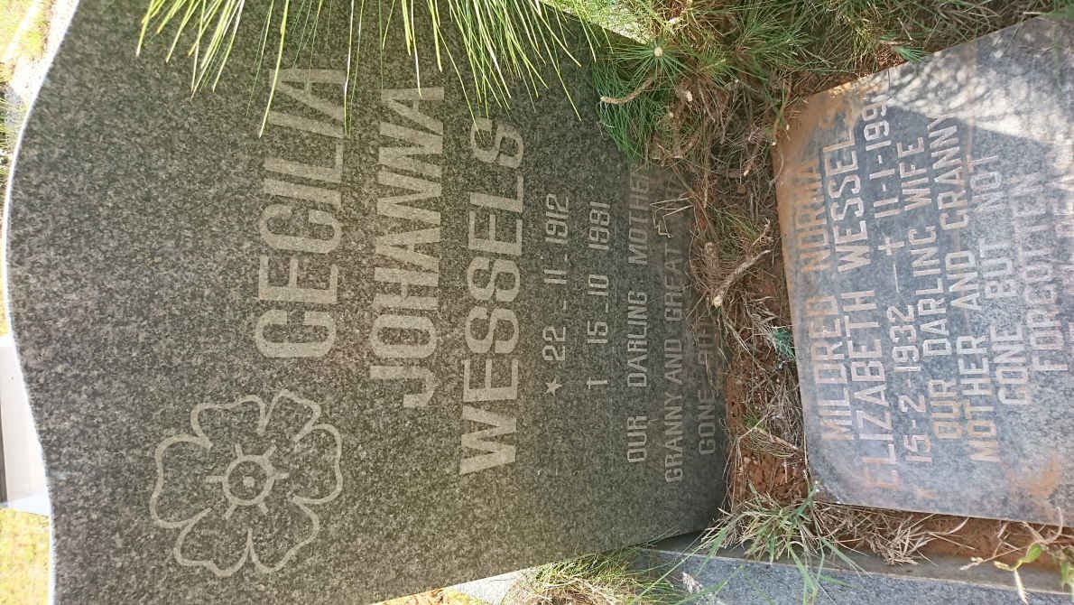 WESSELS Cecilia Johanna 1912-1981 :: WESSELS Mildred Norma Elizabeth 1932-1997
