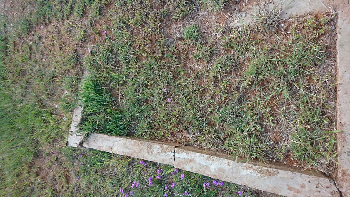 ?