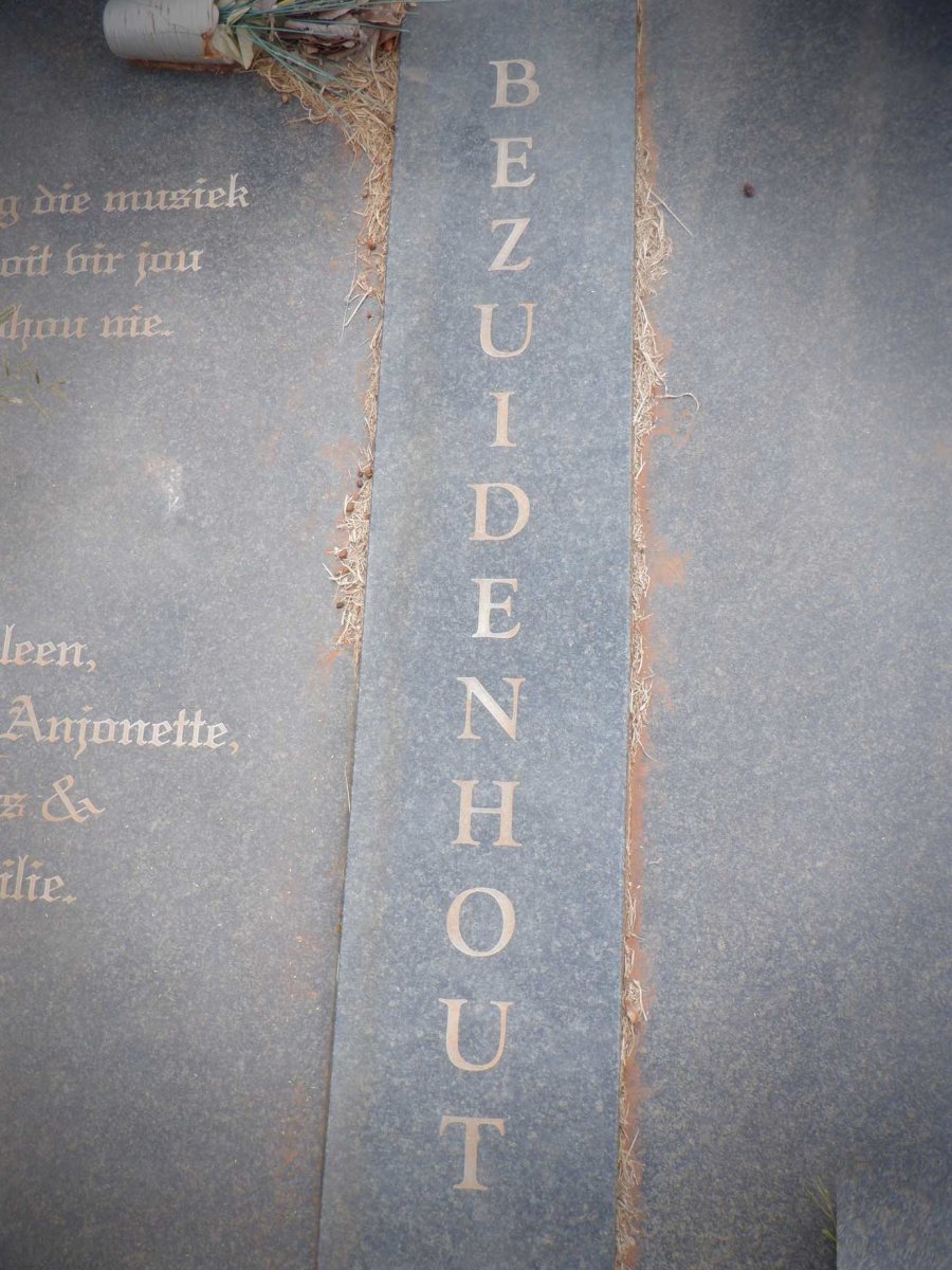 BEZUIDENHOUT Johan 1972-2008