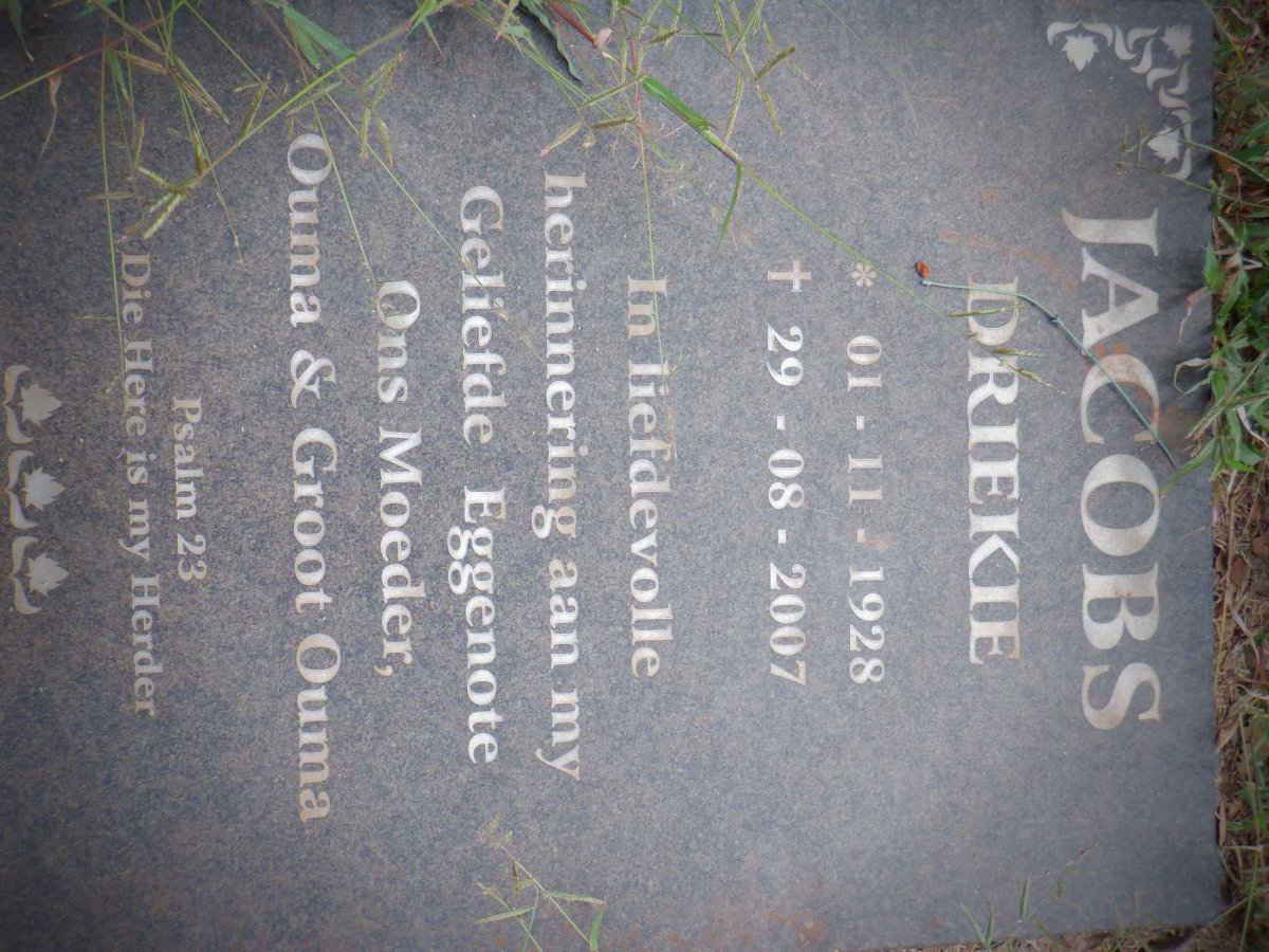 JACOBS Driekie 1928-2007