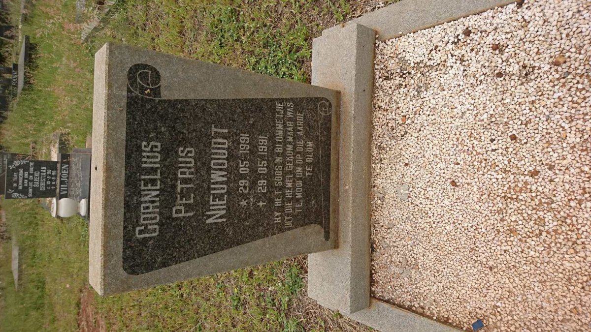 NIEUWOUDT Cornelius Petrus 1991-1991