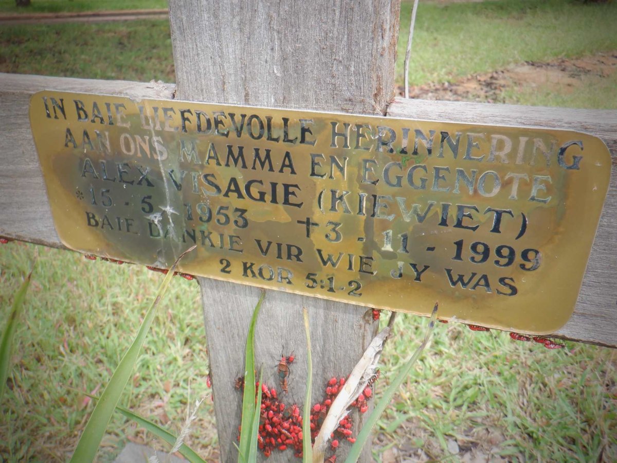 VISAGIE Alex 1953-1999