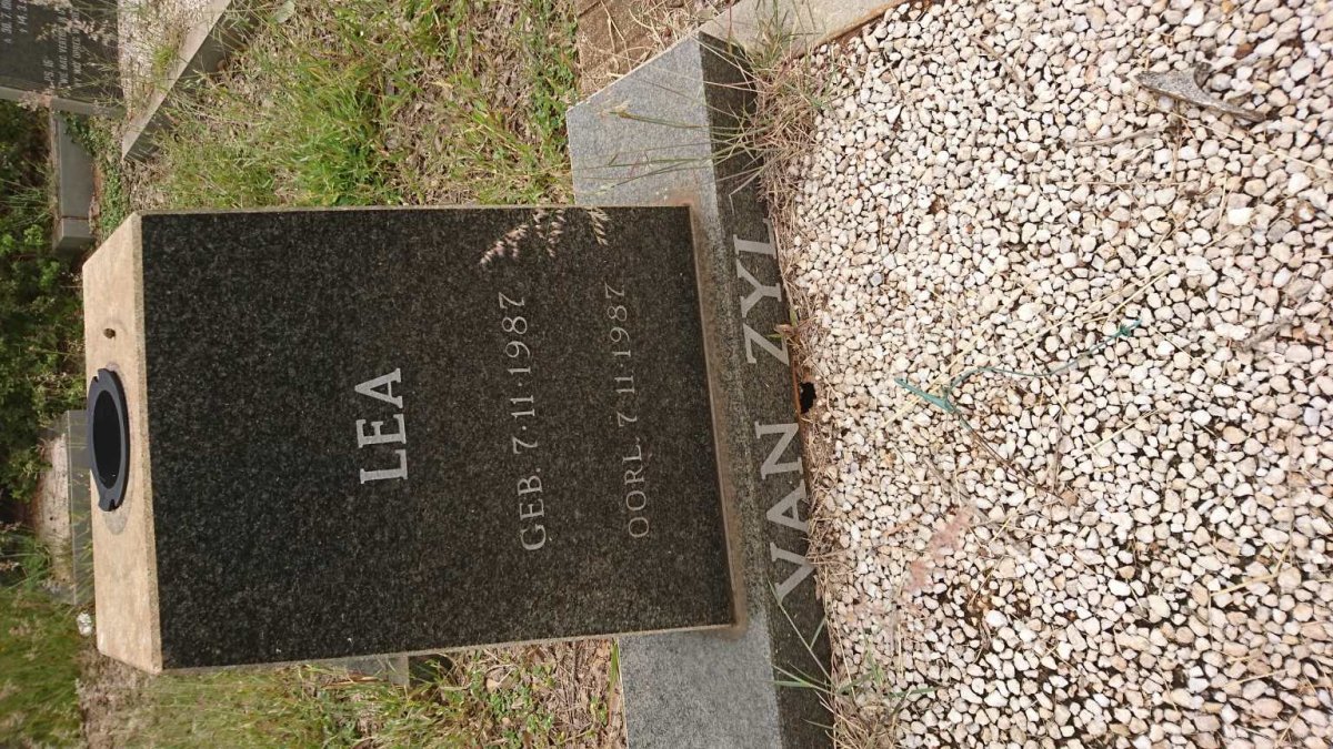 ZYL Lea, van 1987-1987