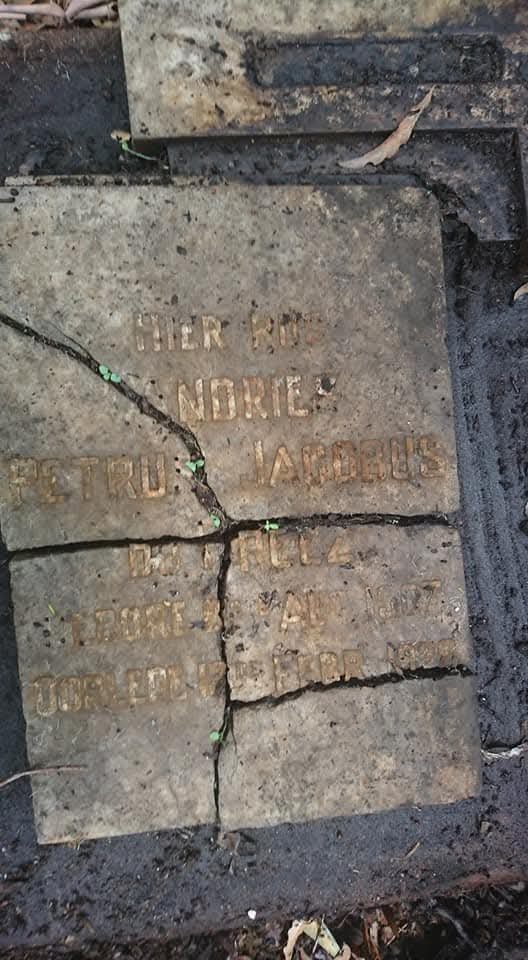 PREEZ Andries Petrus Jacobus, du 1907-1928
