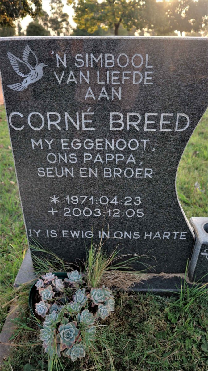 BREED Corne 1971-2003