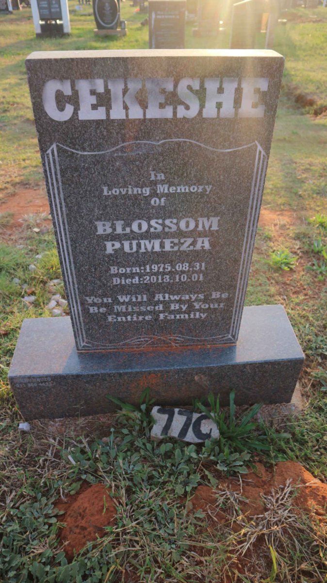 CEKESHE Blossom Pumeza 1975-2018