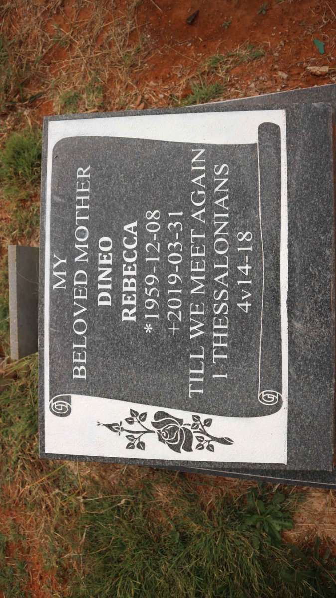 DINEO Rebecca 1959-2019