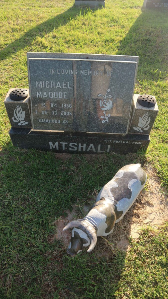 MTSHALI Michael Maqude 1956-2006