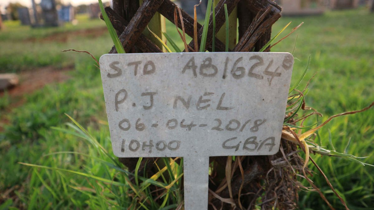 NEL P.J. -2018