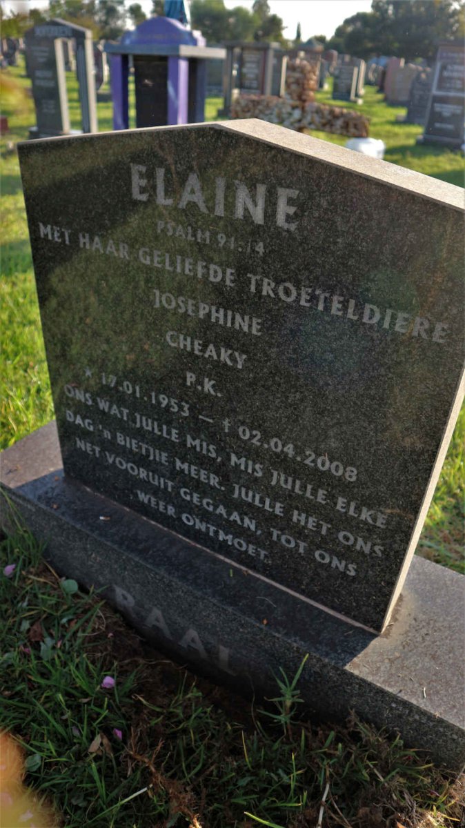RAAL Elaine 1953-2008