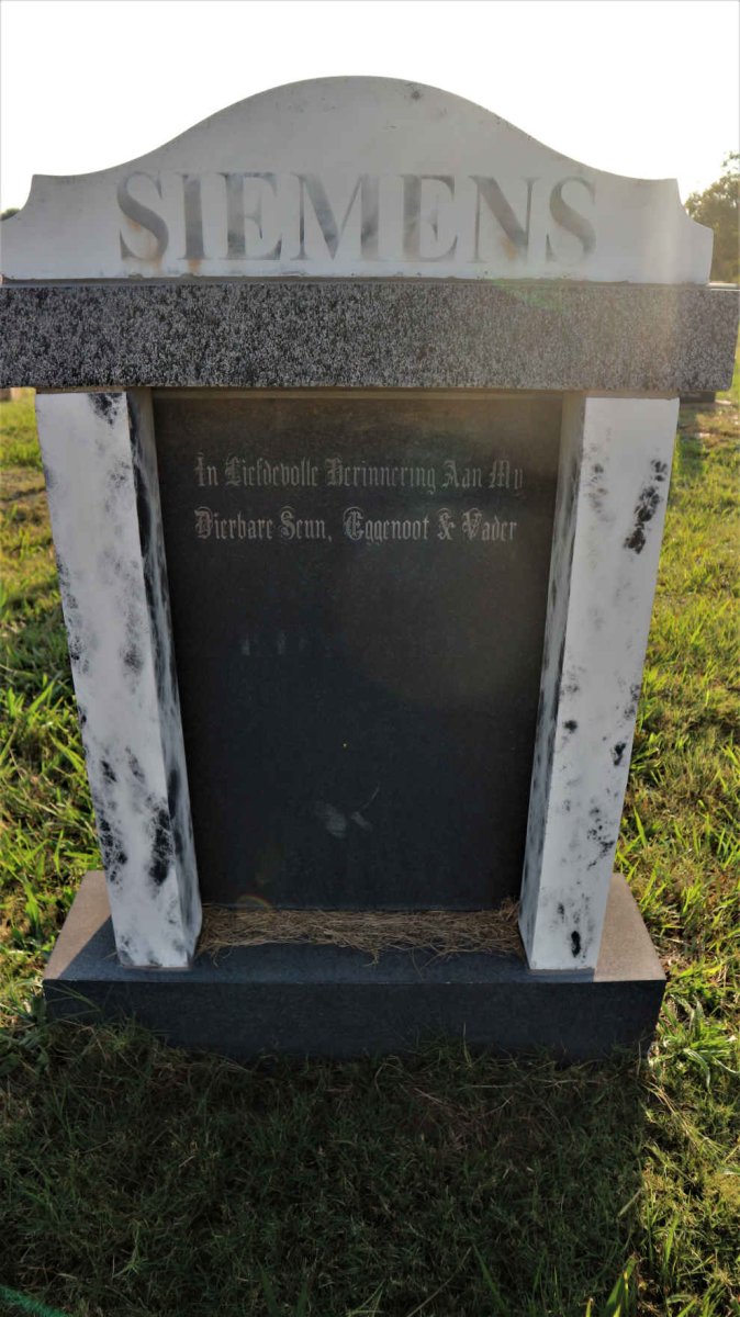 SIEMENS