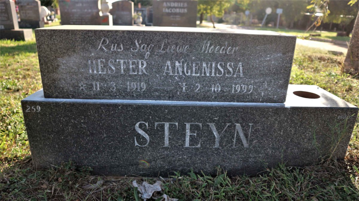 STEYN Hester Angenissa 1919-1999
