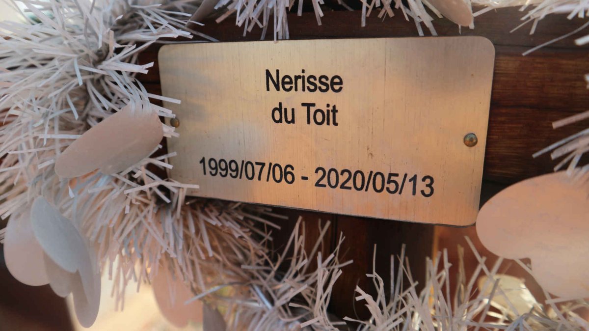 TOIT Nerisse, du 1999-2020
