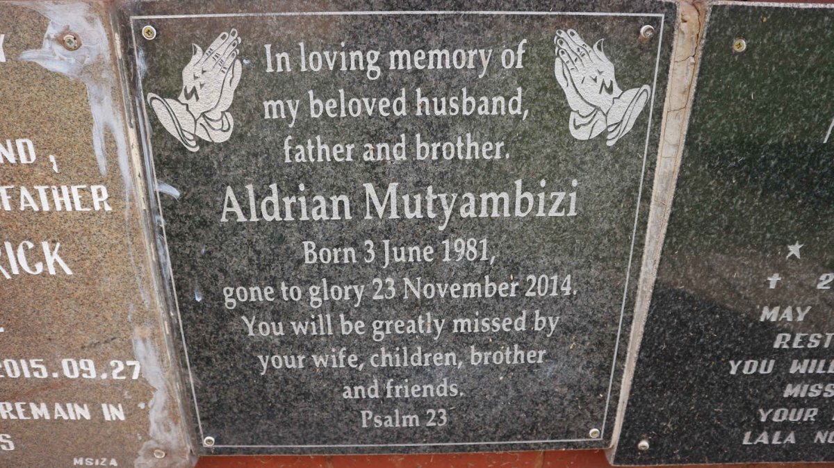 MUTYAMBIZI Aldrian 1981-2014