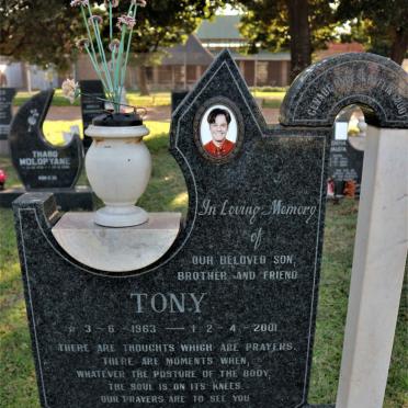 ? Tony 1963-2001