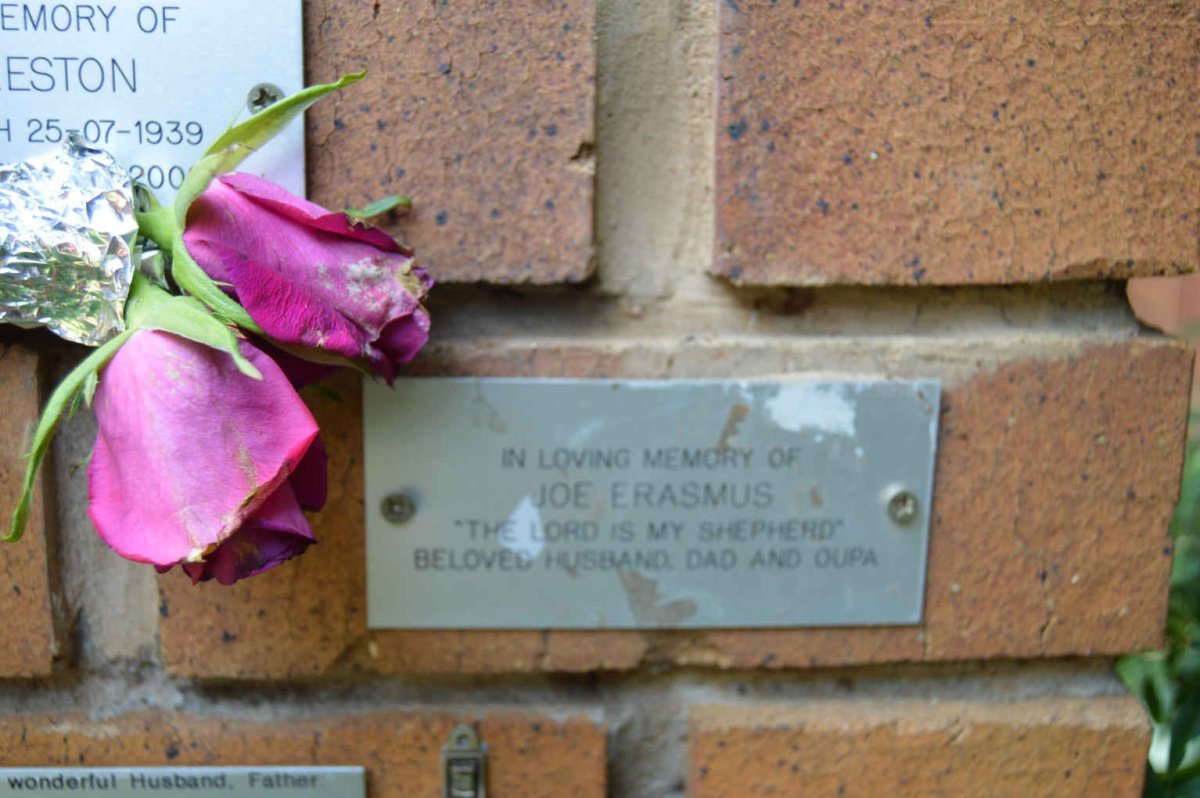 ERASMUS Joe