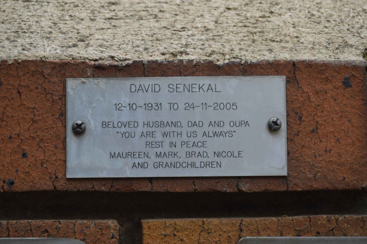 SENEKAL David 1931-2005