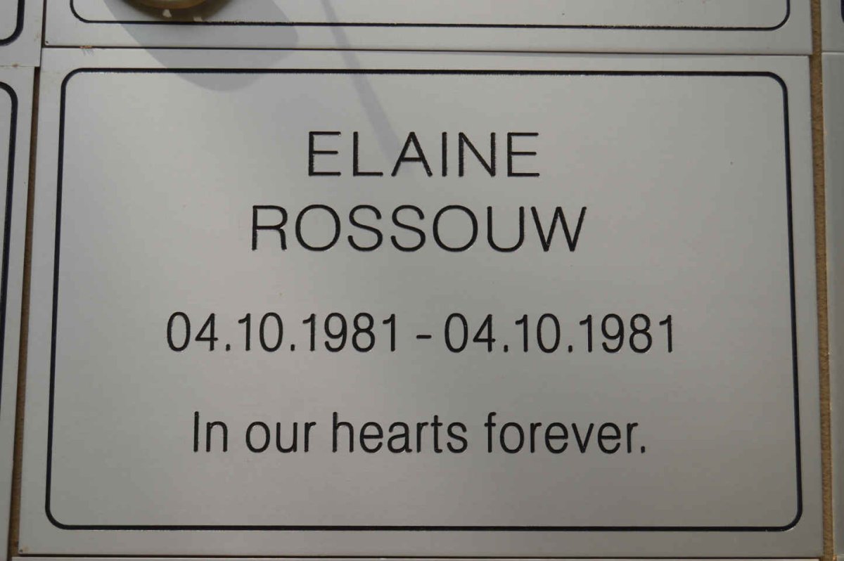 ROSSOUW Elaine 1981-1981