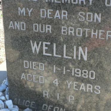 ? Wellin -1980