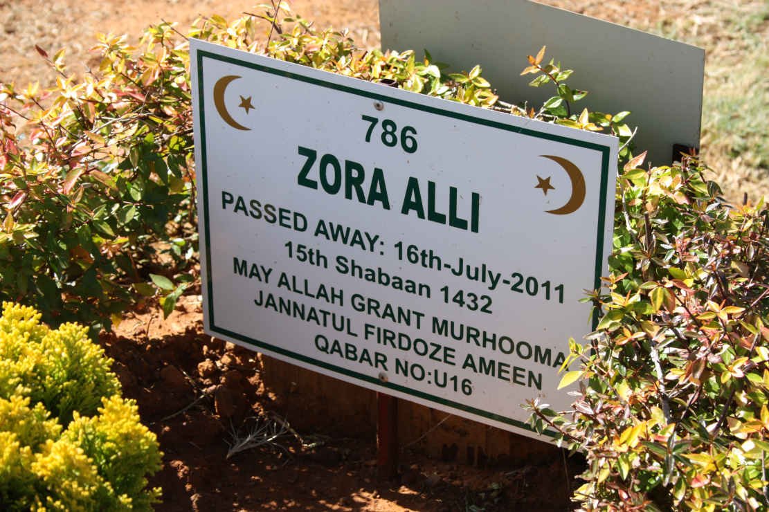 ALLI Zora -2011