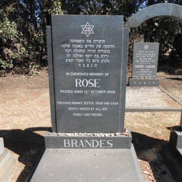 BRANDES Rose -2009