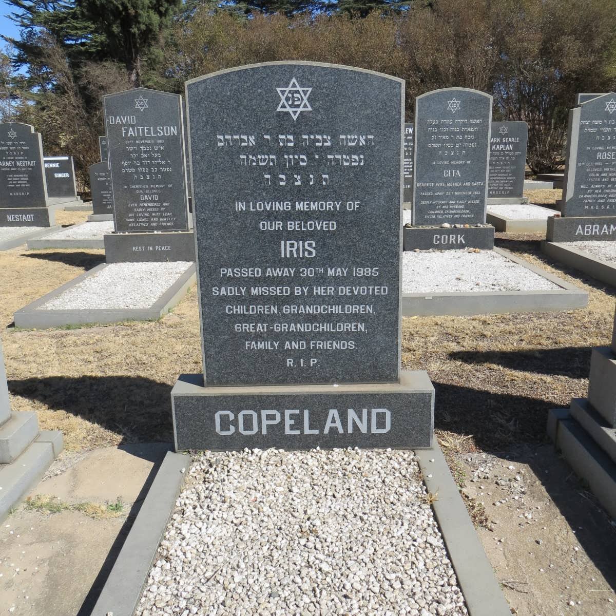 COPELAND Iris -1985