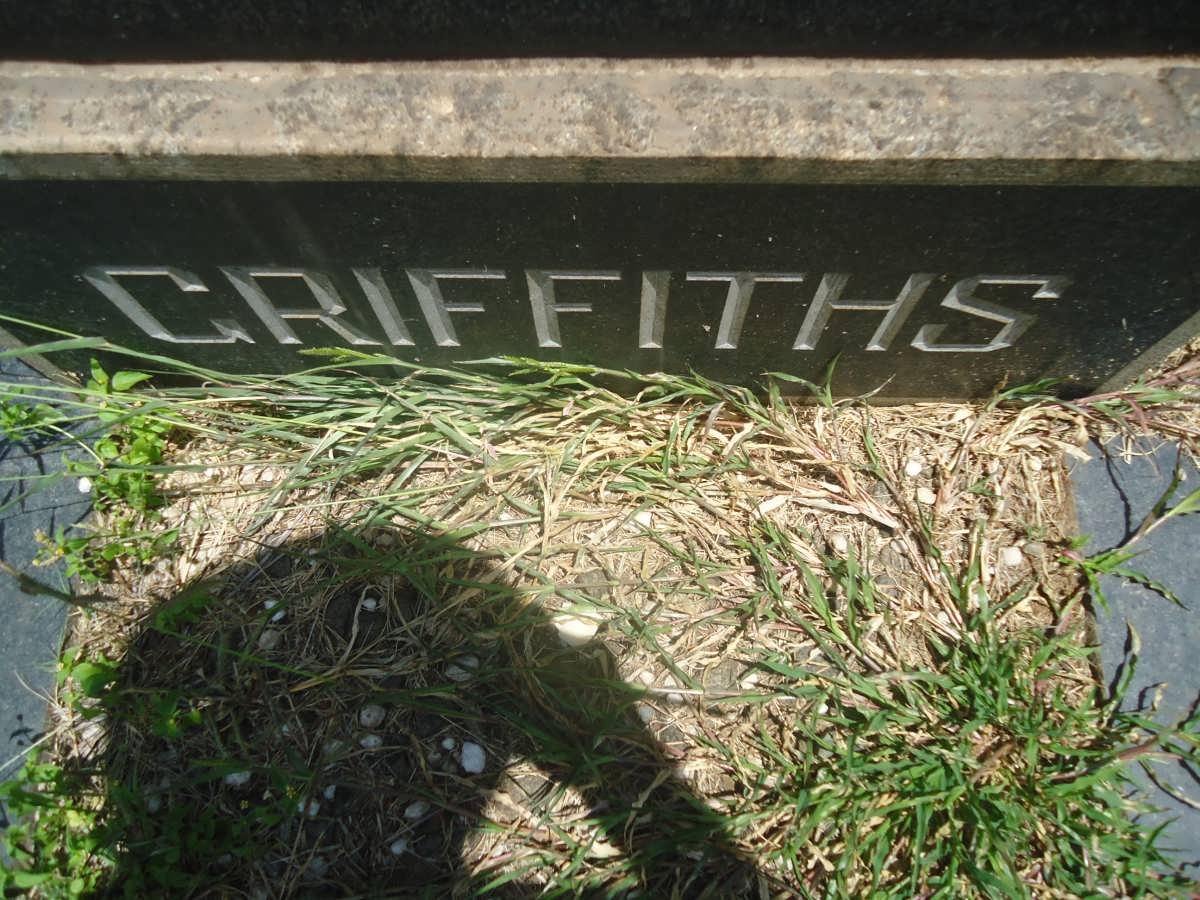 GRIFFITHS Anna M.M. 1878-1960