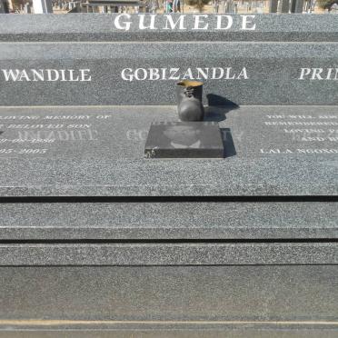 GUMEDE Wandile Gogizandla Prince 1986-2005