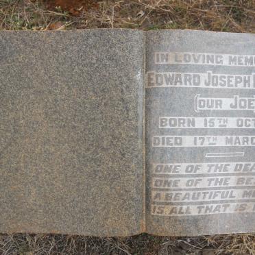 HORNING Edward Joseph 1913-1936