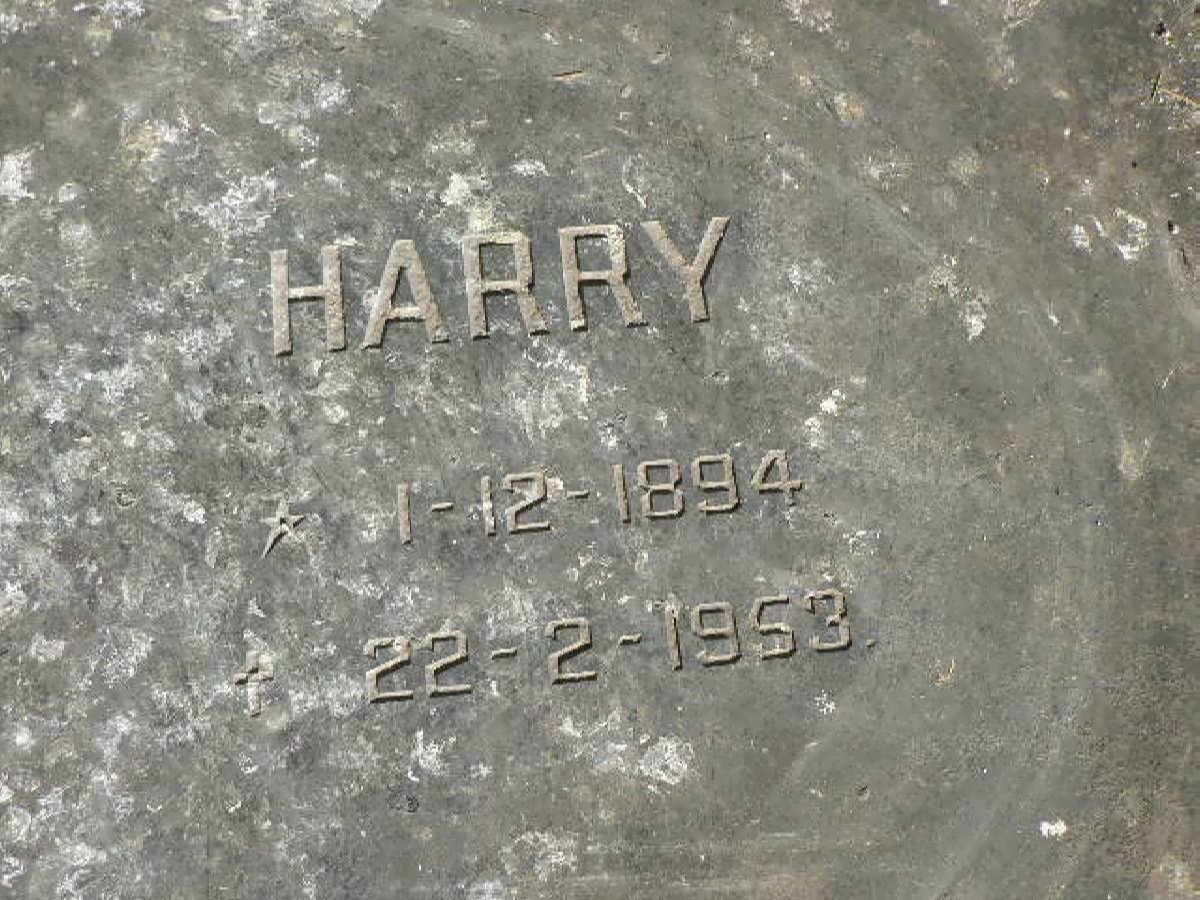 JOHNSTONE Harry 1894-1953