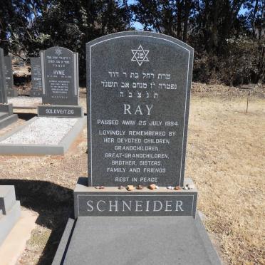 SCHNEIDER Ray -1994